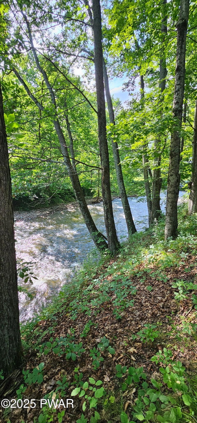 75 Grocery Hill Rd, Equinunk, PA 18417 - photo 1