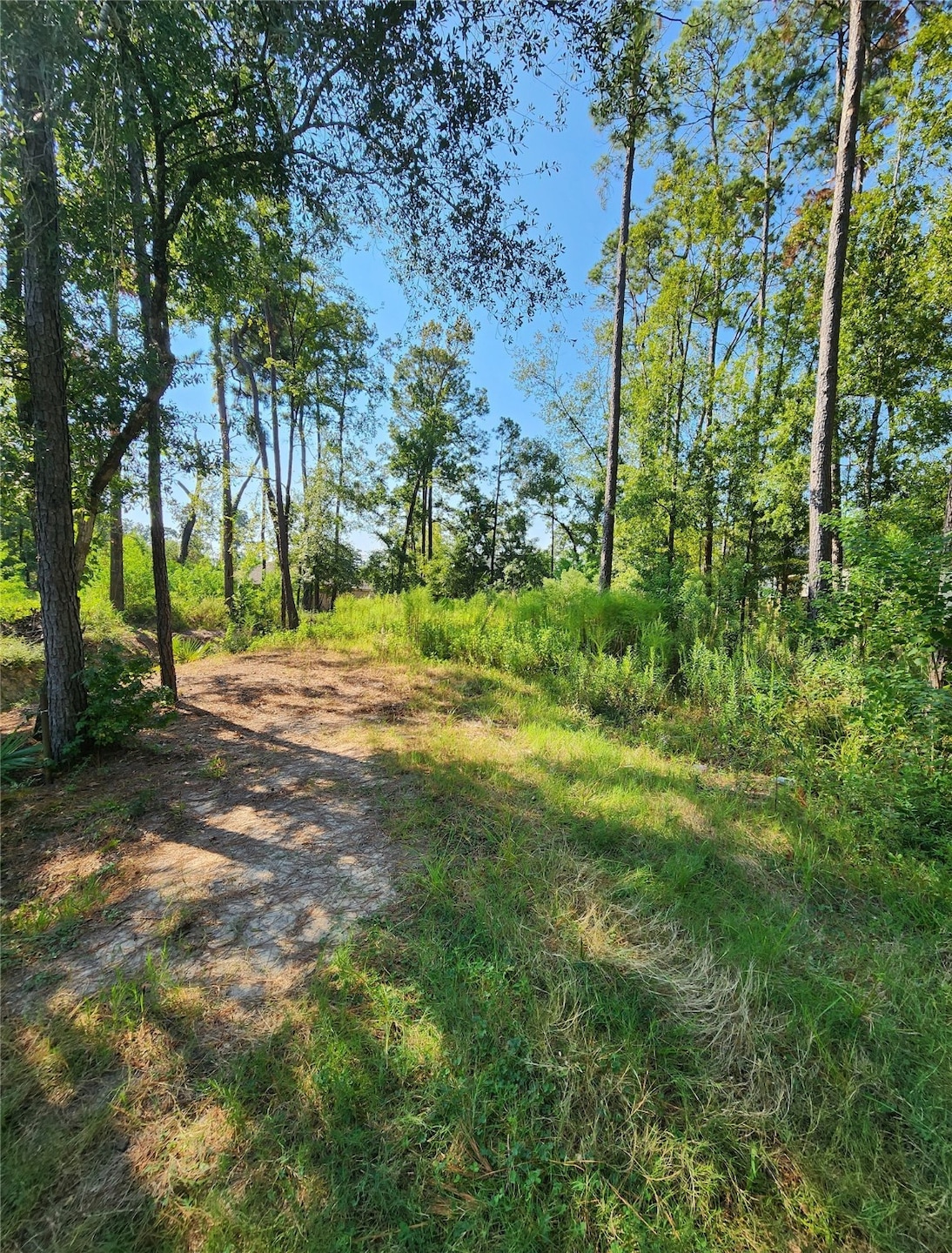 Sold • Co-Listing Agent