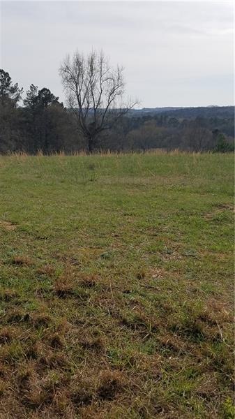 0 Bevis unit 7025512, Franklin, GA 30217 - photo 1