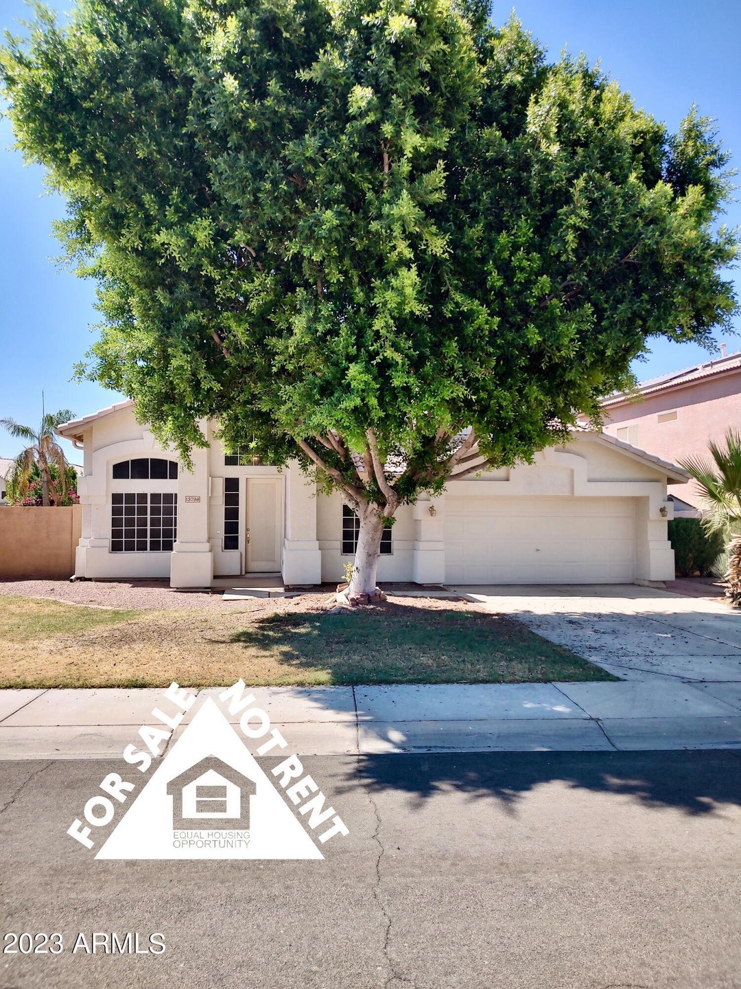 IMG_20230629_150238174_HDR