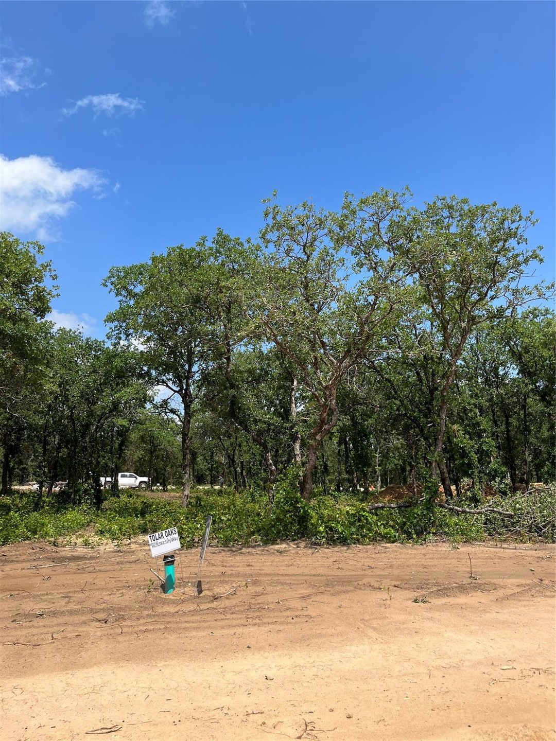 412 Peace Lily Way Street View