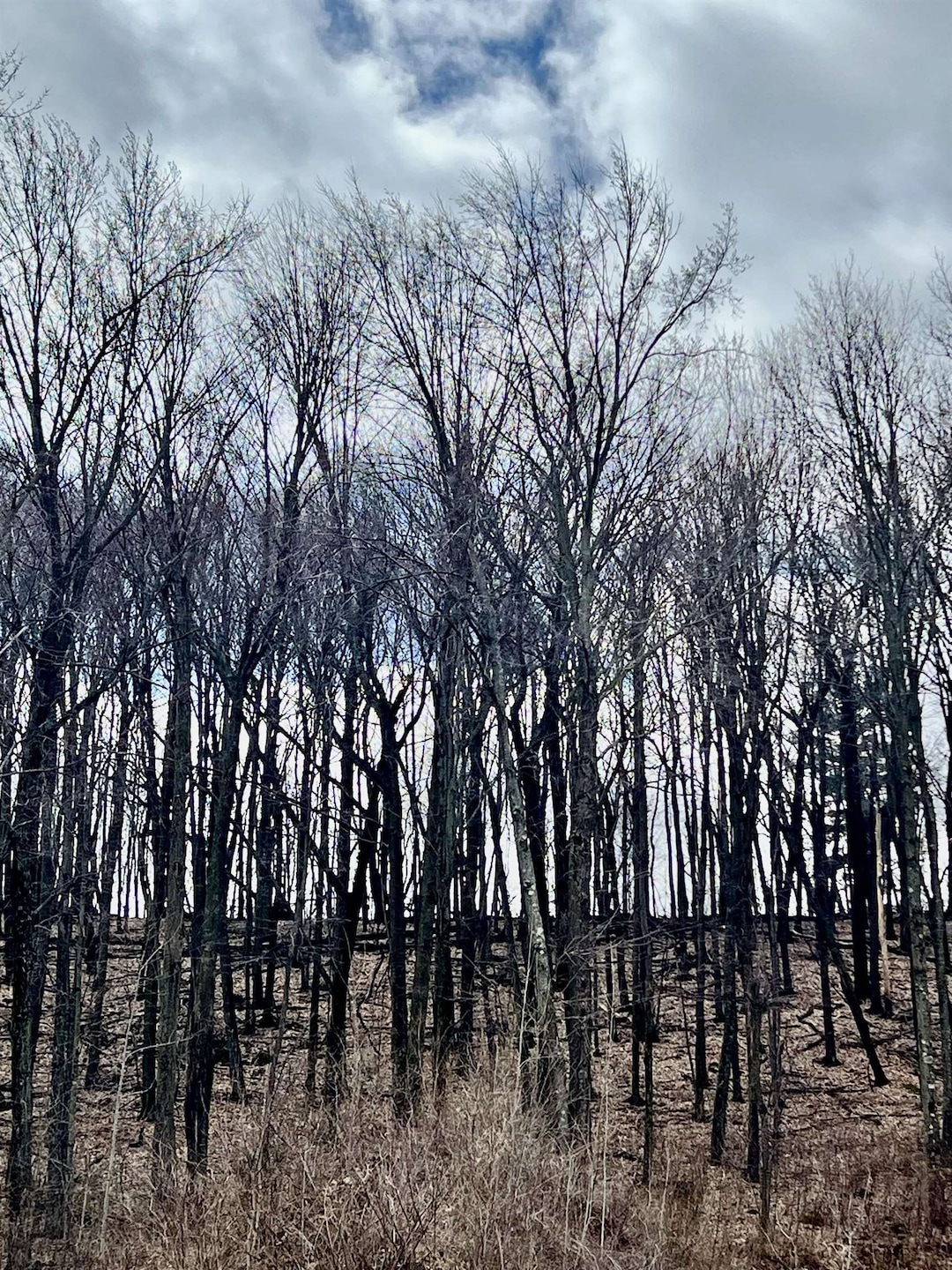 911 Buffalo Ridge Ln, Waupaca, WI 54981 - photo 1