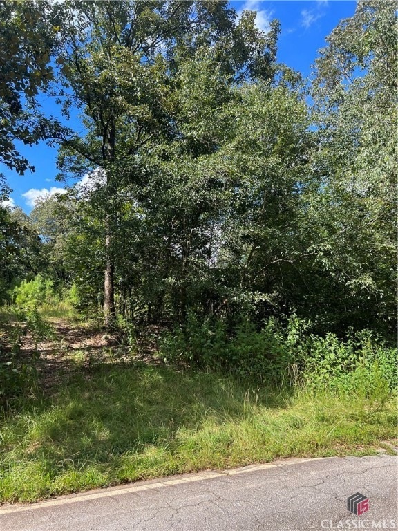 0 Davids Home Church Rd unit 1008882, Comer, GA 30629 - photo 1