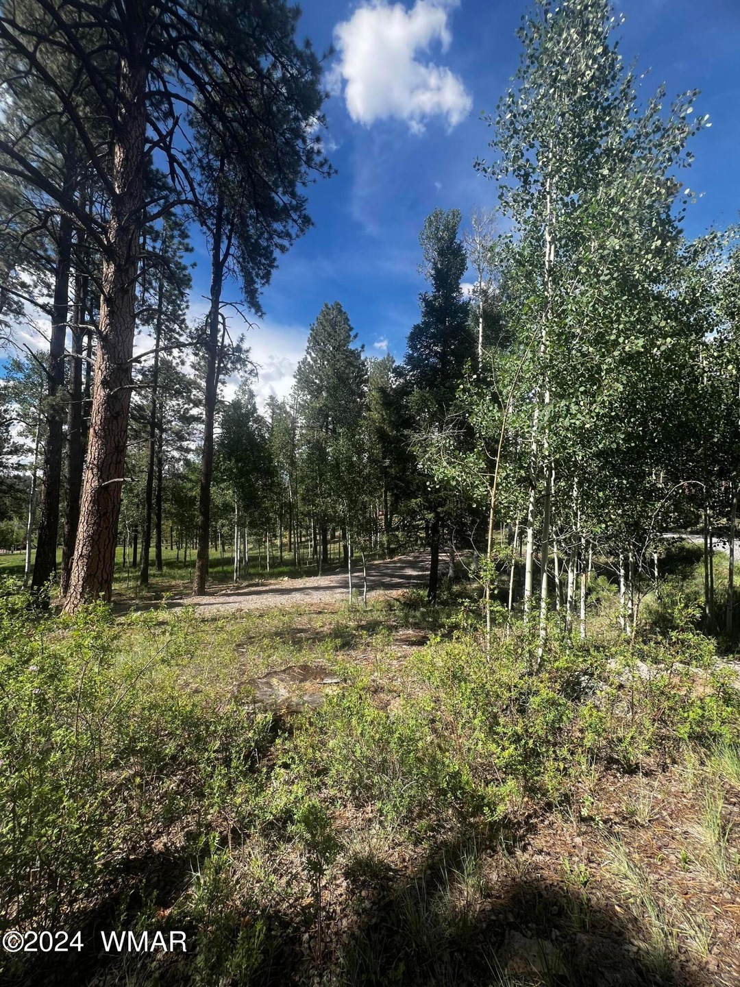7 N1063, Greer, AZ 85927 - photo 1