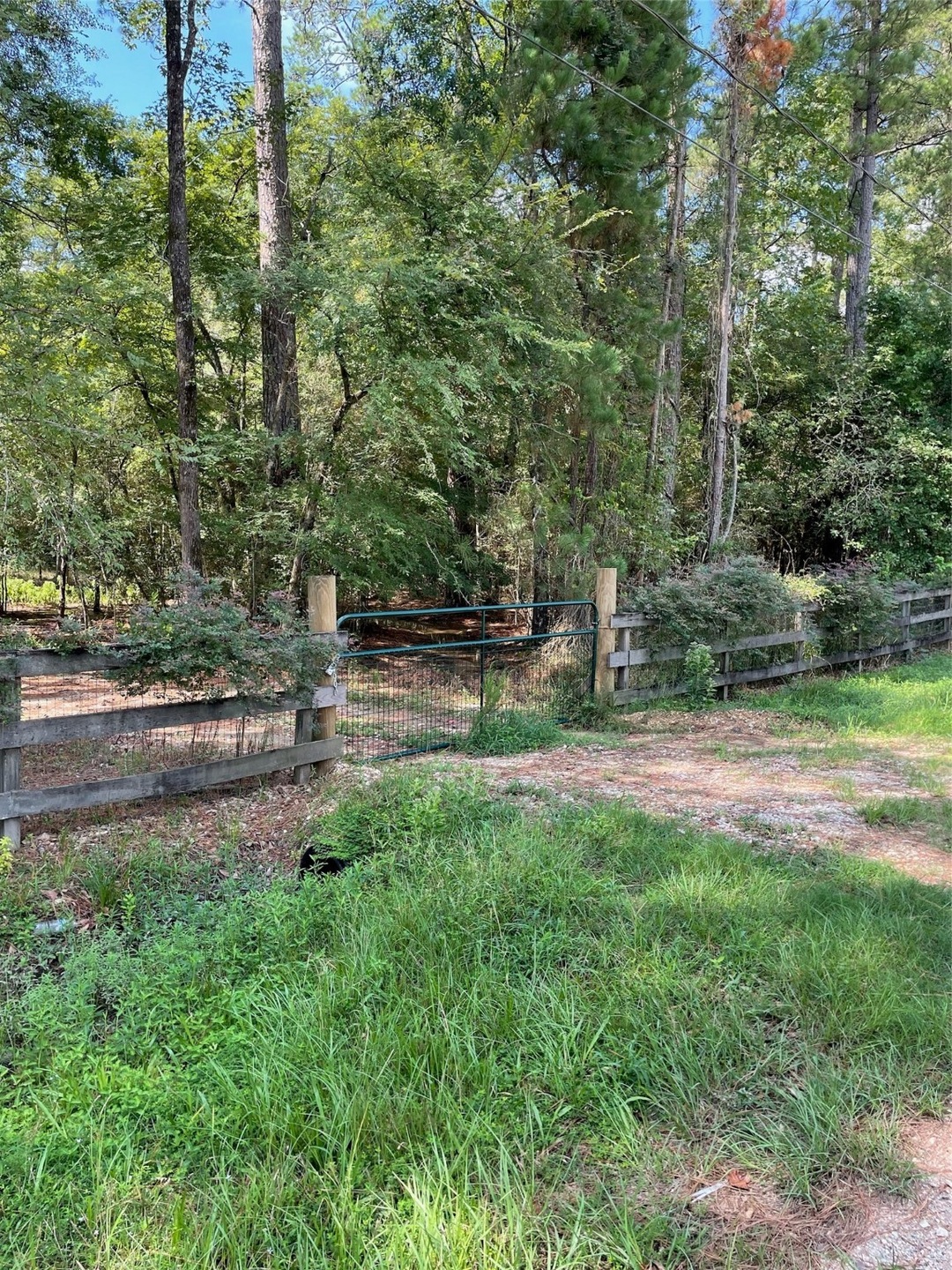 0 Seneca Trail, Magnolia, TX 77354 - photo 1