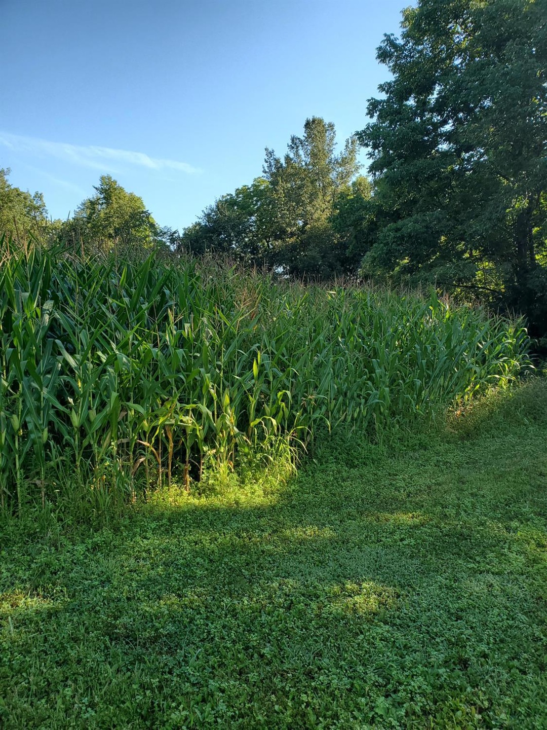 124 Nicely Rd, Midland, OH 45148 - photo 1