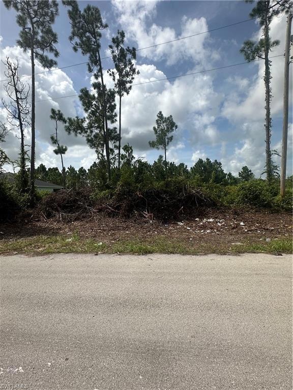 1054 Coleridge St, Lehigh Acres, FL 33974 - photo 1