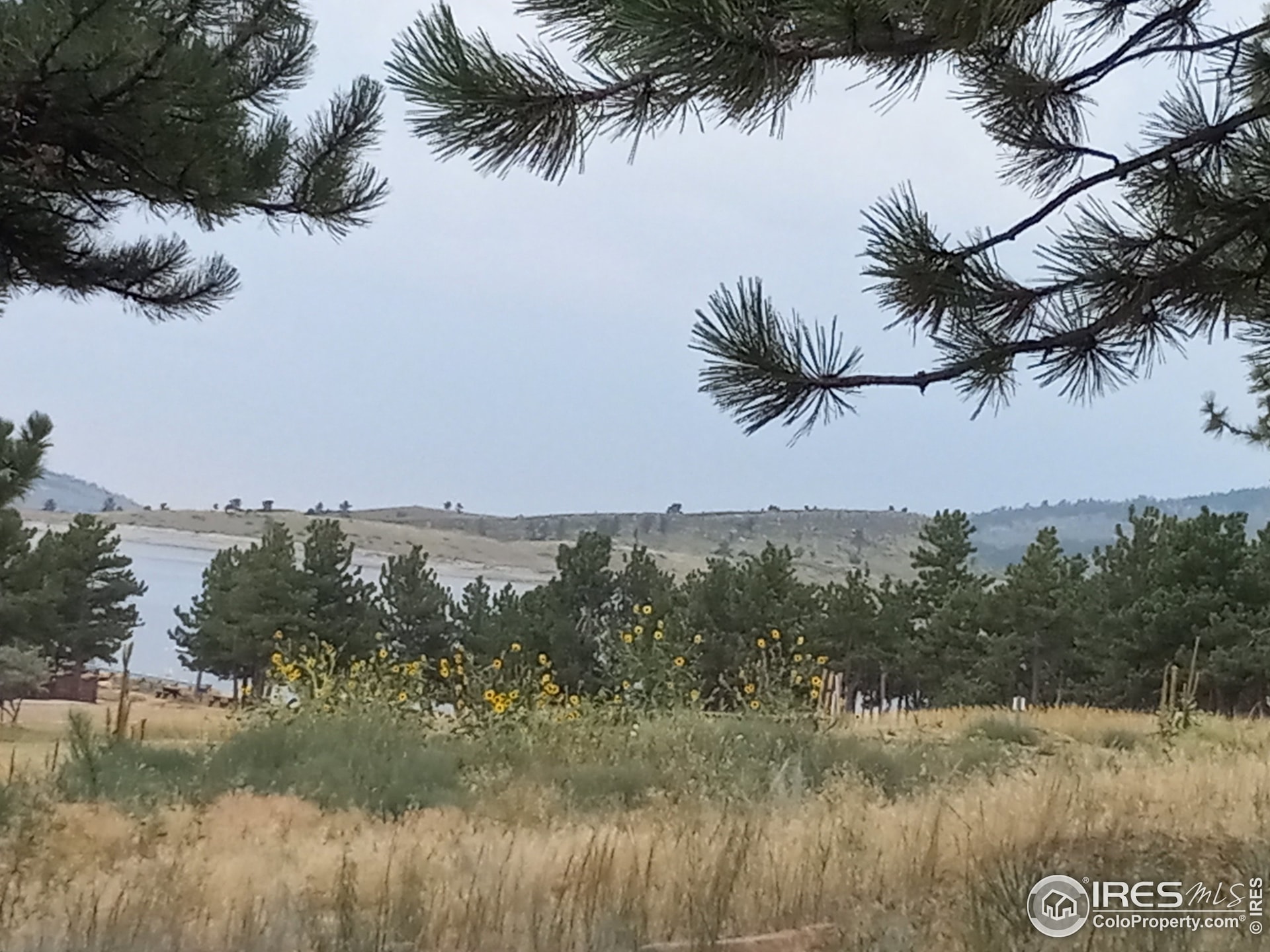 Just a great place to call home.