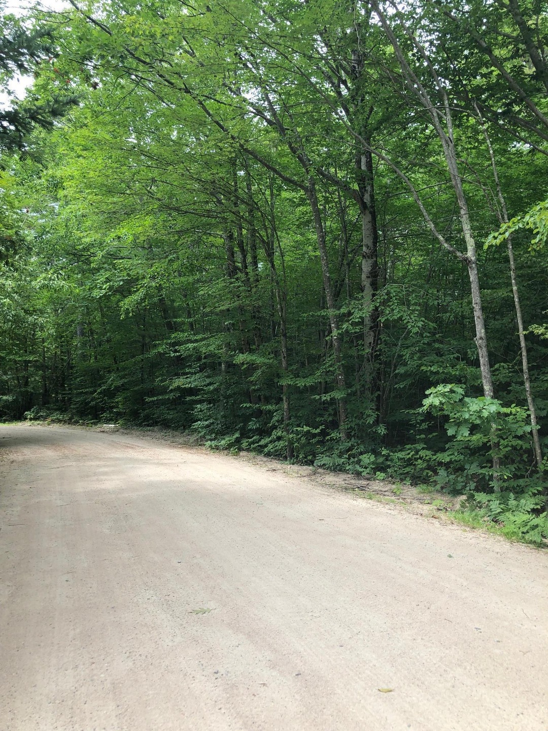 0 Gary & Spruce Rd, Middleton, NH 03887 - photo 1