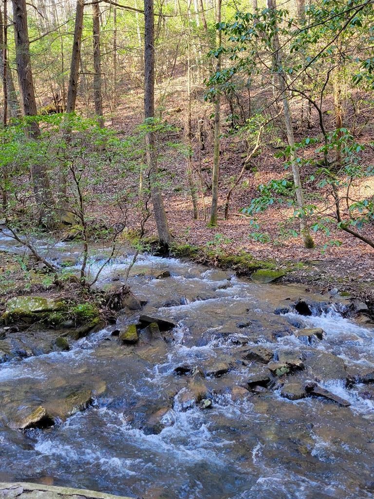 For Sale $44,900 • Co-Listing Agent