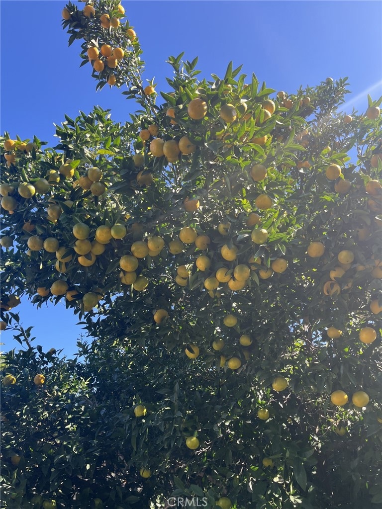 1320 3 Ranch Rd, Duarte, CA 91010 - photo 1