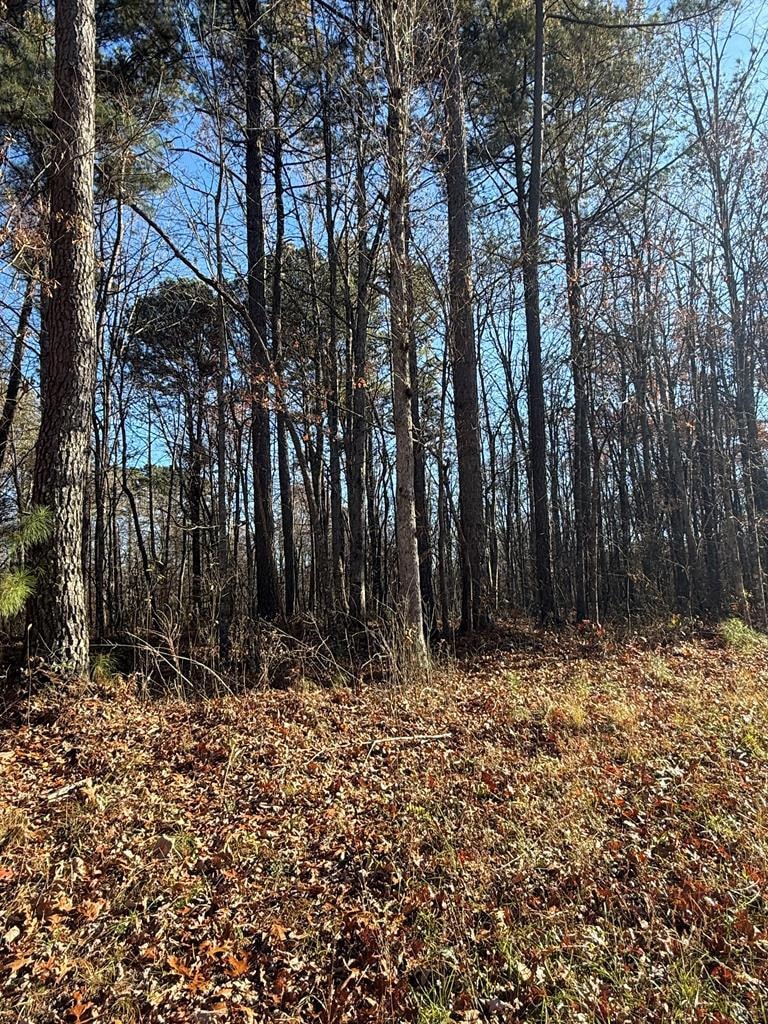 Lot 9 U S 70n, Monterey, TN 38574 - photo 1