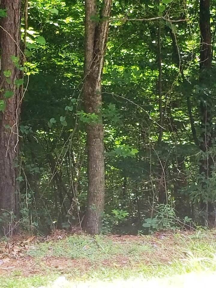 0 Carnes Rd unit 8858395, Jonesboro, GA 30236 - photo 1