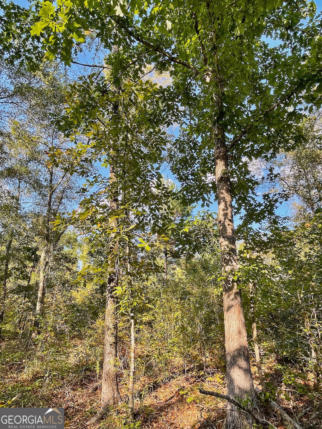 0 Highway 36 E unit 10652520, Jackson, GA 30233 - photo 1