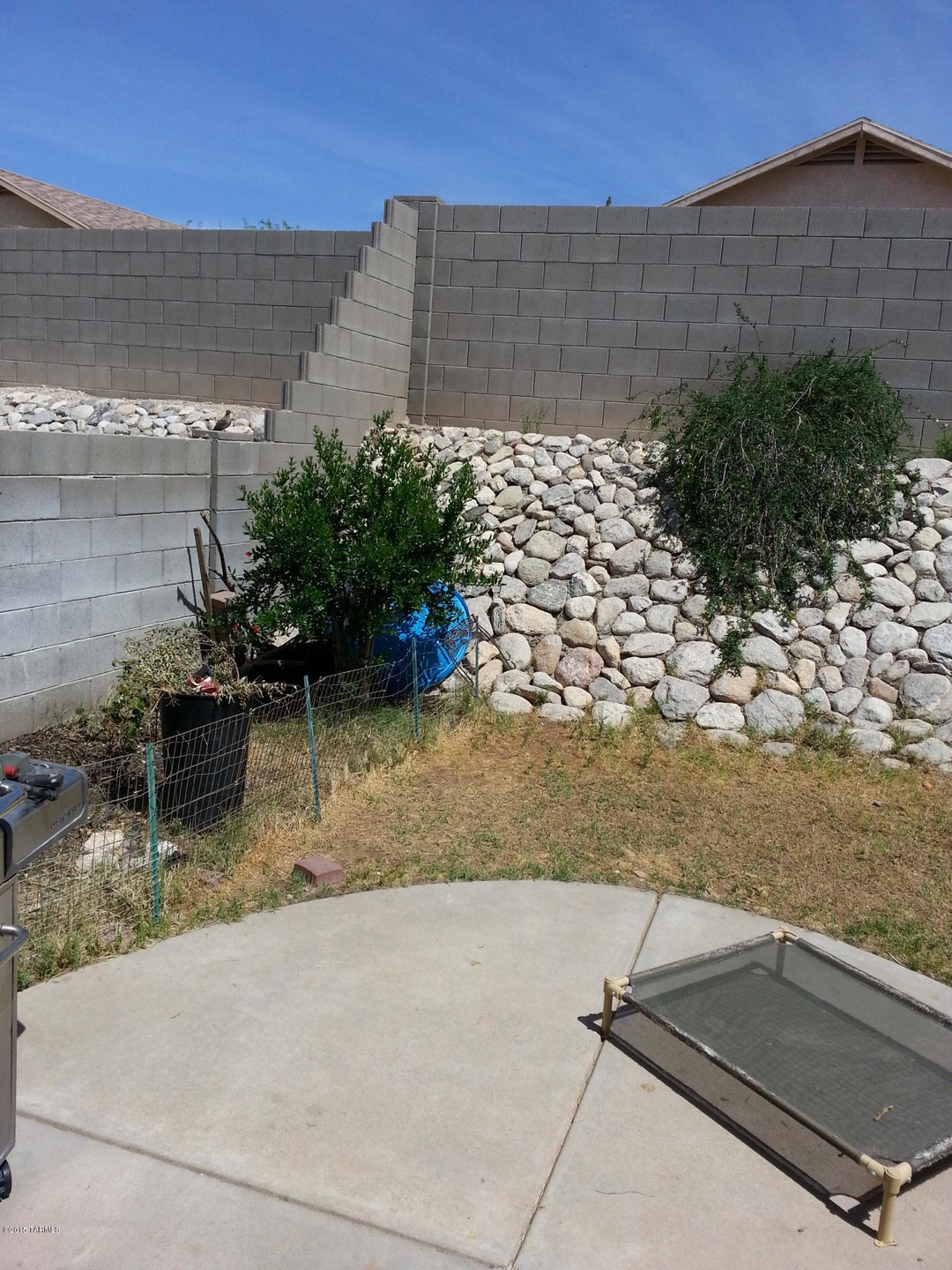 back yard 1.jpg