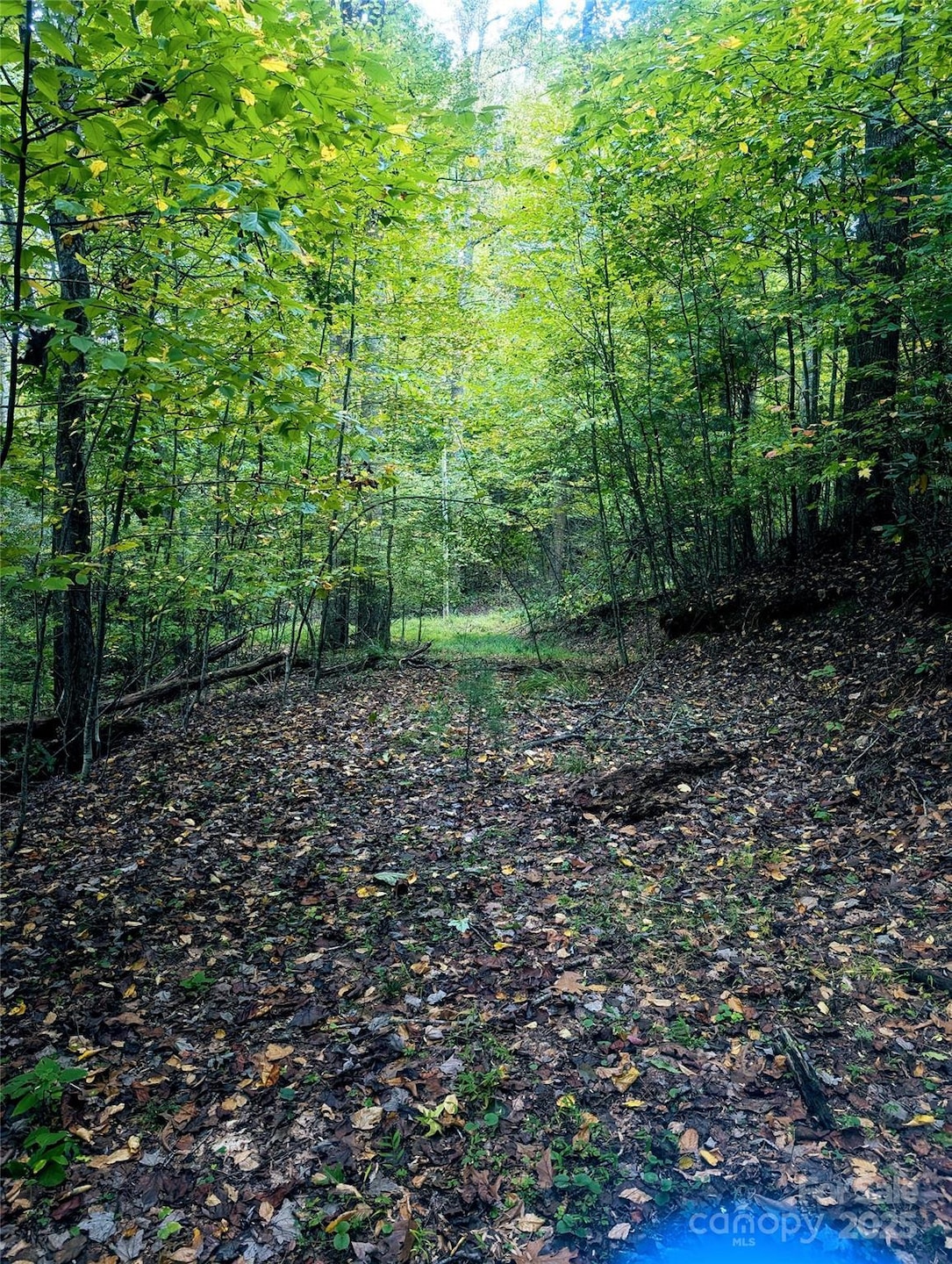 0 Luxury Lake None unit 5A/6A/7A, Etowah, NC 28739 - photo 1