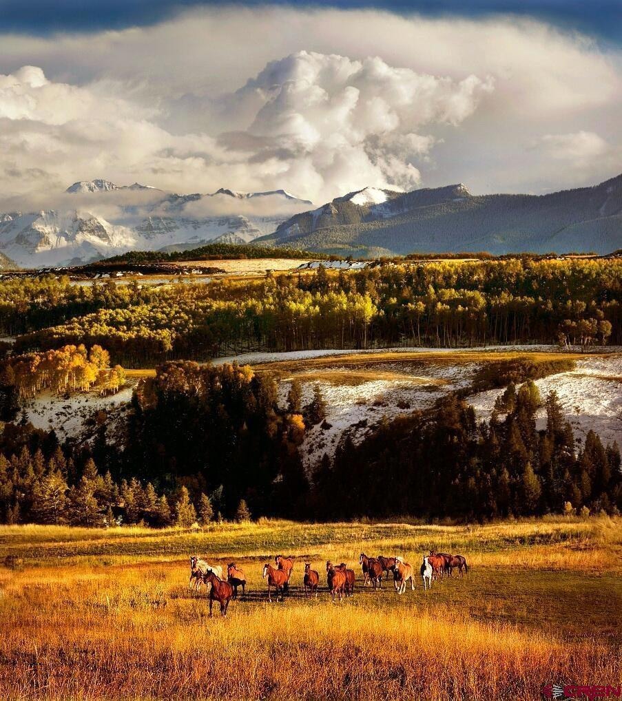 DRR Last Dollar Rd, Telluride, CO 81435 - photo 1