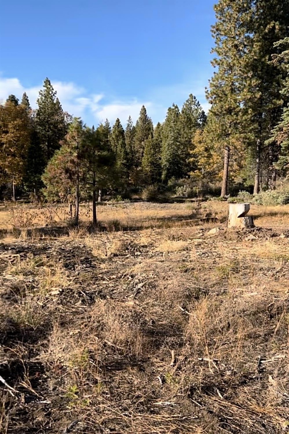 0 Shaver Lake unit 640388, Auberry, CA 93602 - photo 1