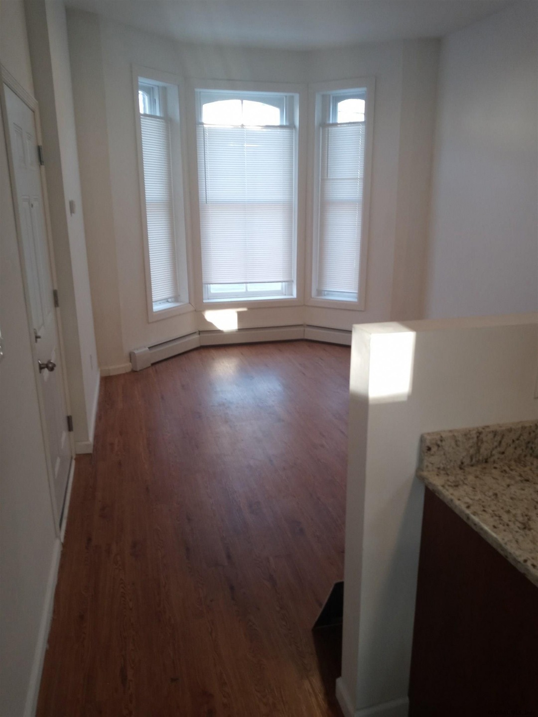 372 Clinton Ave, Albany, NY 12206 - photo 1