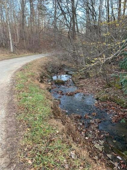 Creek With Road Frontage