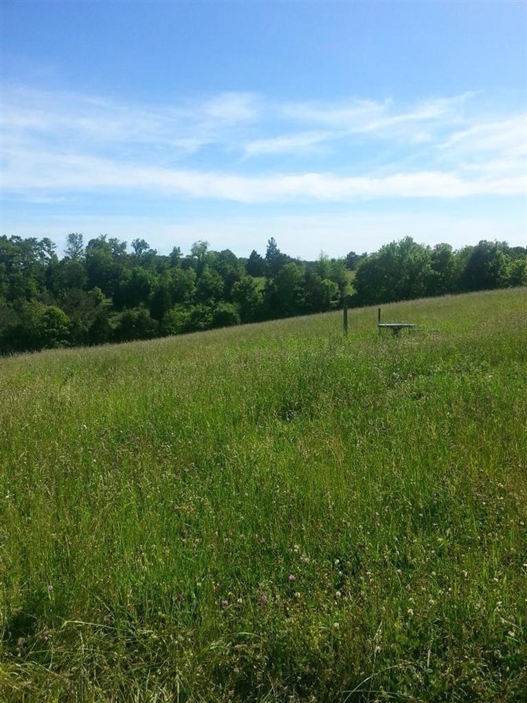 100 Denton Phelps Rd, Somerset, KY 42501 - photo 1