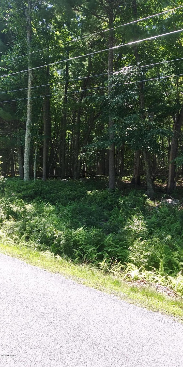 792 Tink Wig Dr, Lackawaxen Township, PA 18428 - photo 1