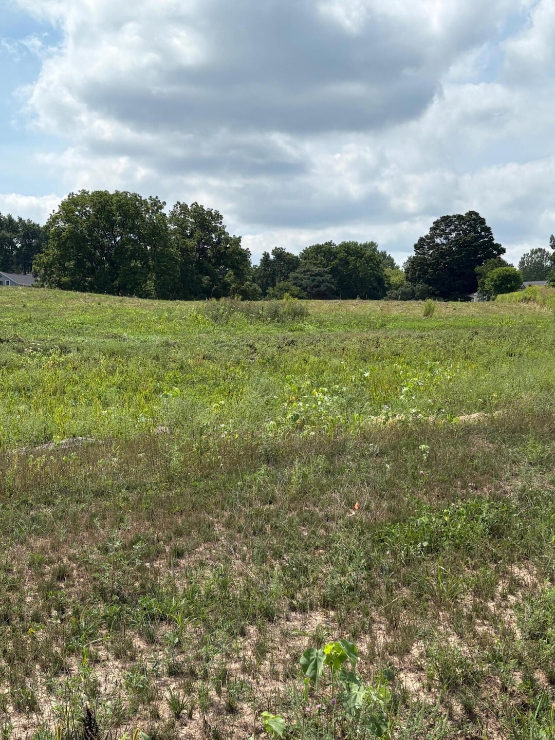 10785 Windward Ave SW, Byron Center, MI 49315 - photo 1