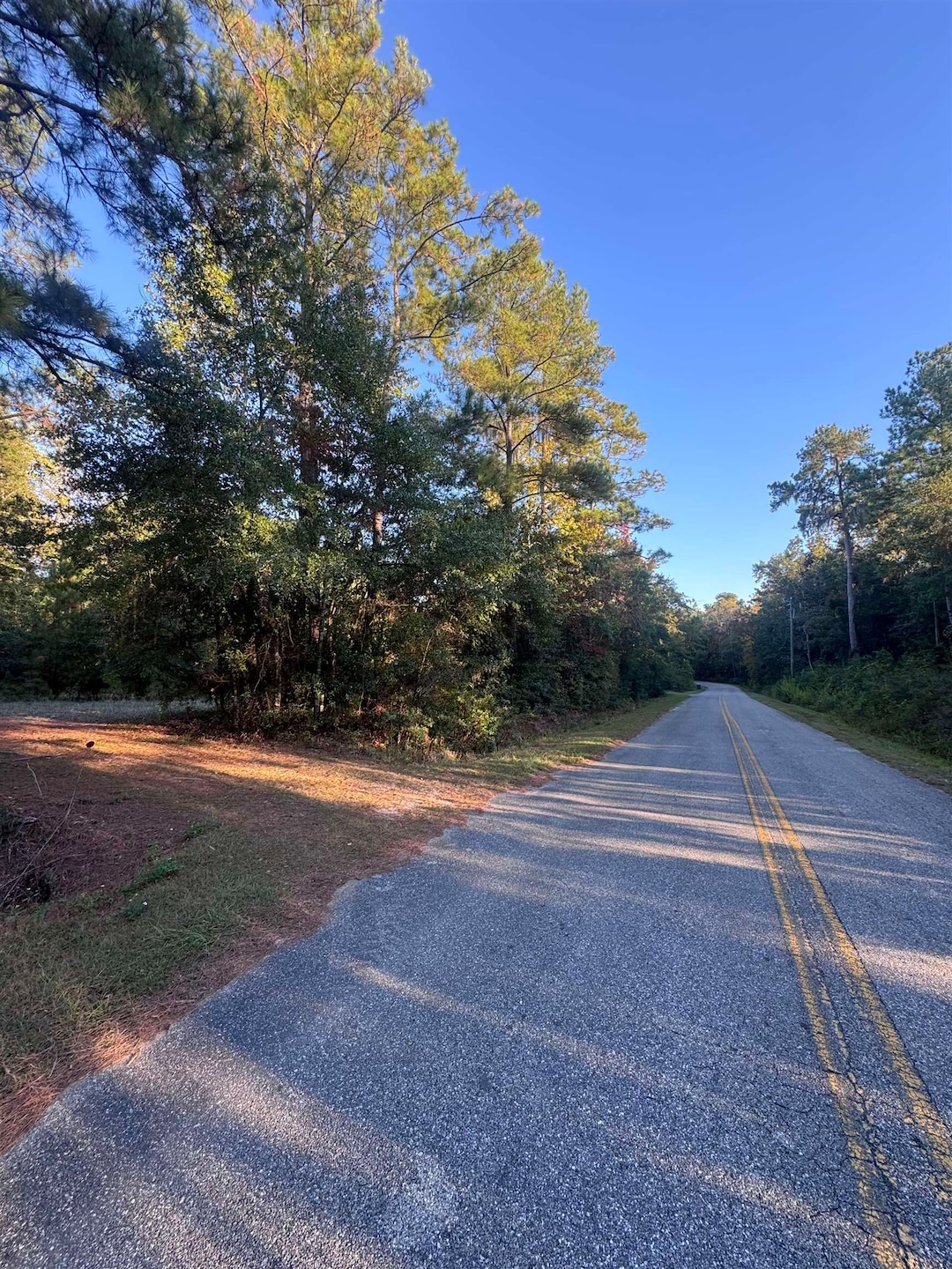 153 Davidson St, Quincy, FL 32351 - photo 1