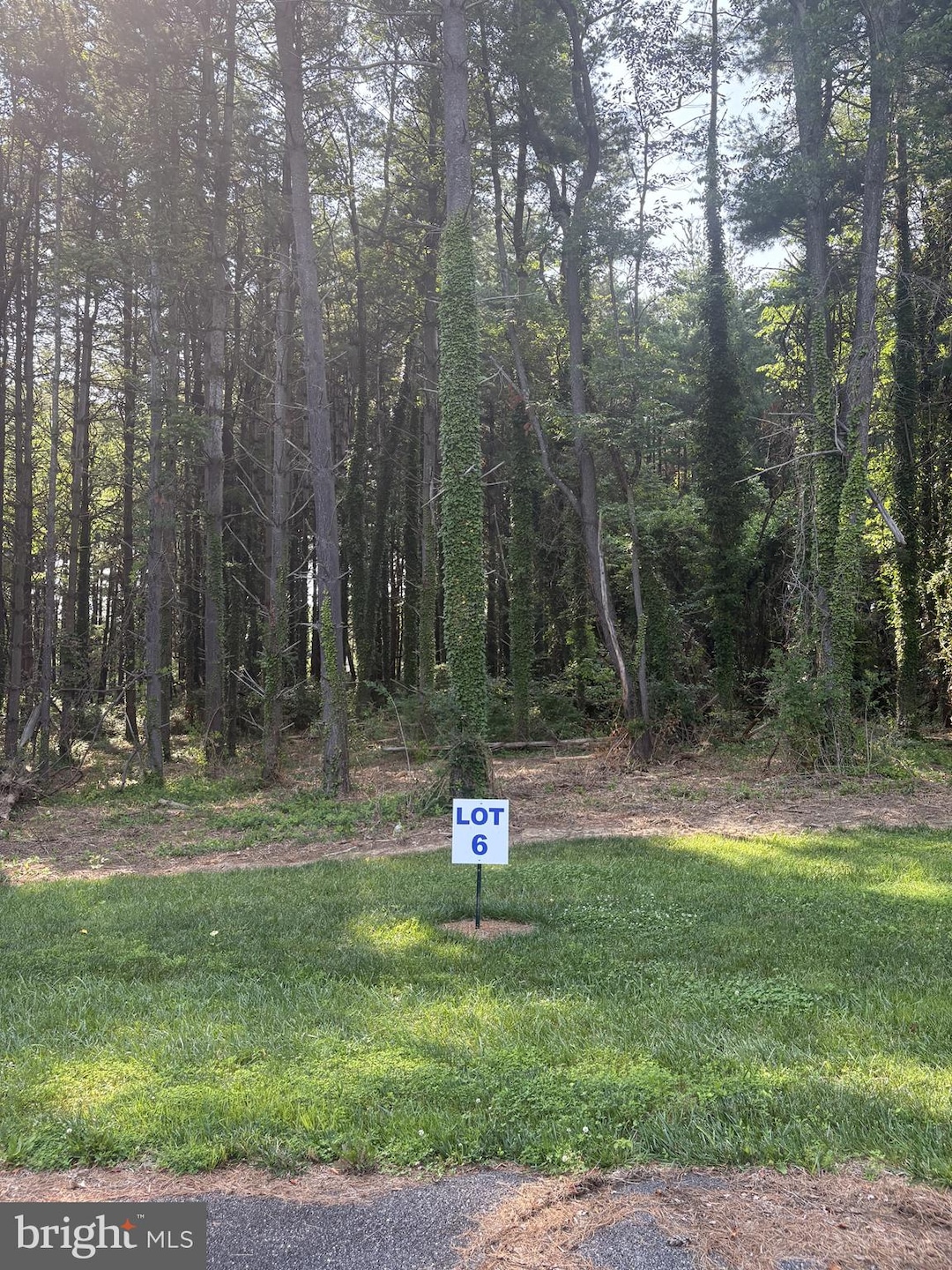 6 Wilson Point Rd, Galena, MD 21635 - photo 1