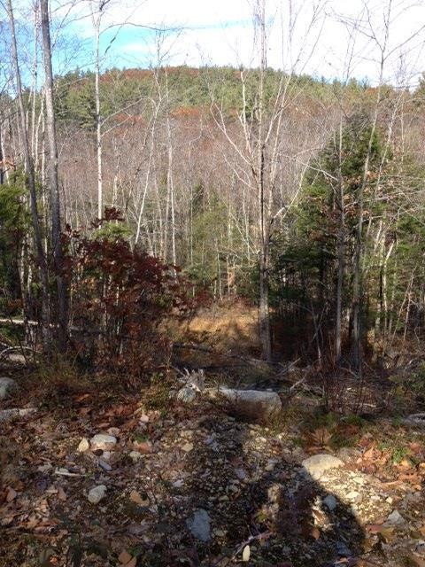 00 Provencher's Ln, Limerick, ME 04048 - photo 1