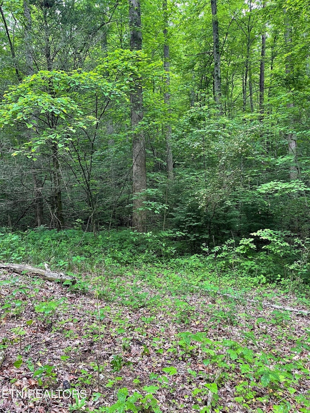 Lot 2 Old Cades Cove Rd, Townsend TN