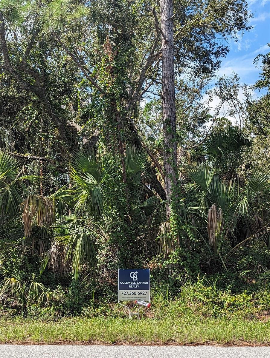 Lot 8, 5-8 are offered at 30k each. Each are 1/4 acre