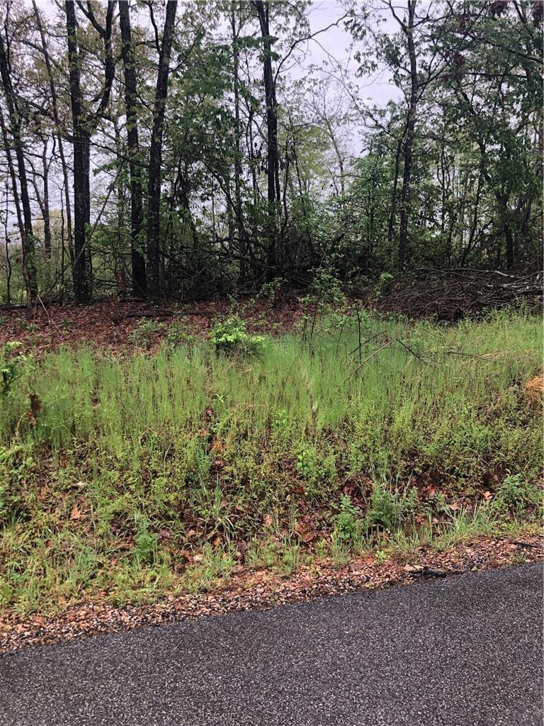 0 Charlene Ln unit 1182101, Bella Vista, AR 72715 - photo 1