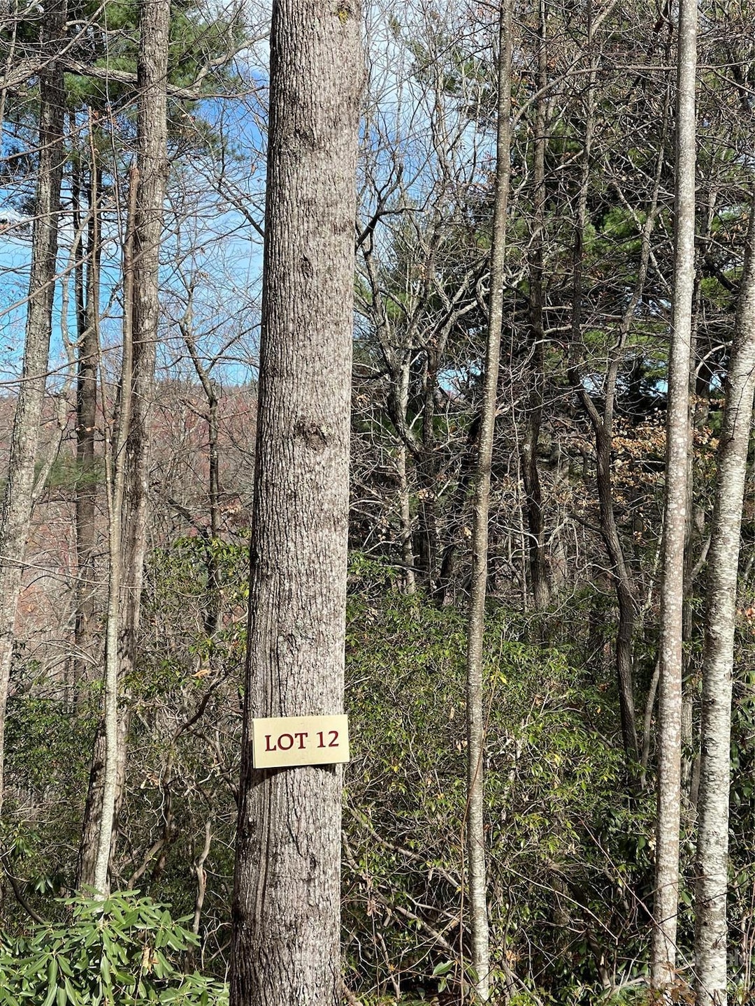 000 Eagle Ridge Rd, Zirconia, NC 28790 - photo 1