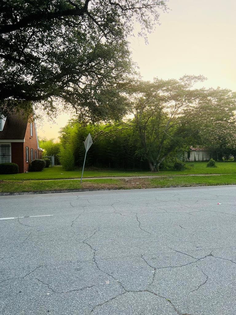 413 N Jackson St, Albany, GA 31701 - photo 1