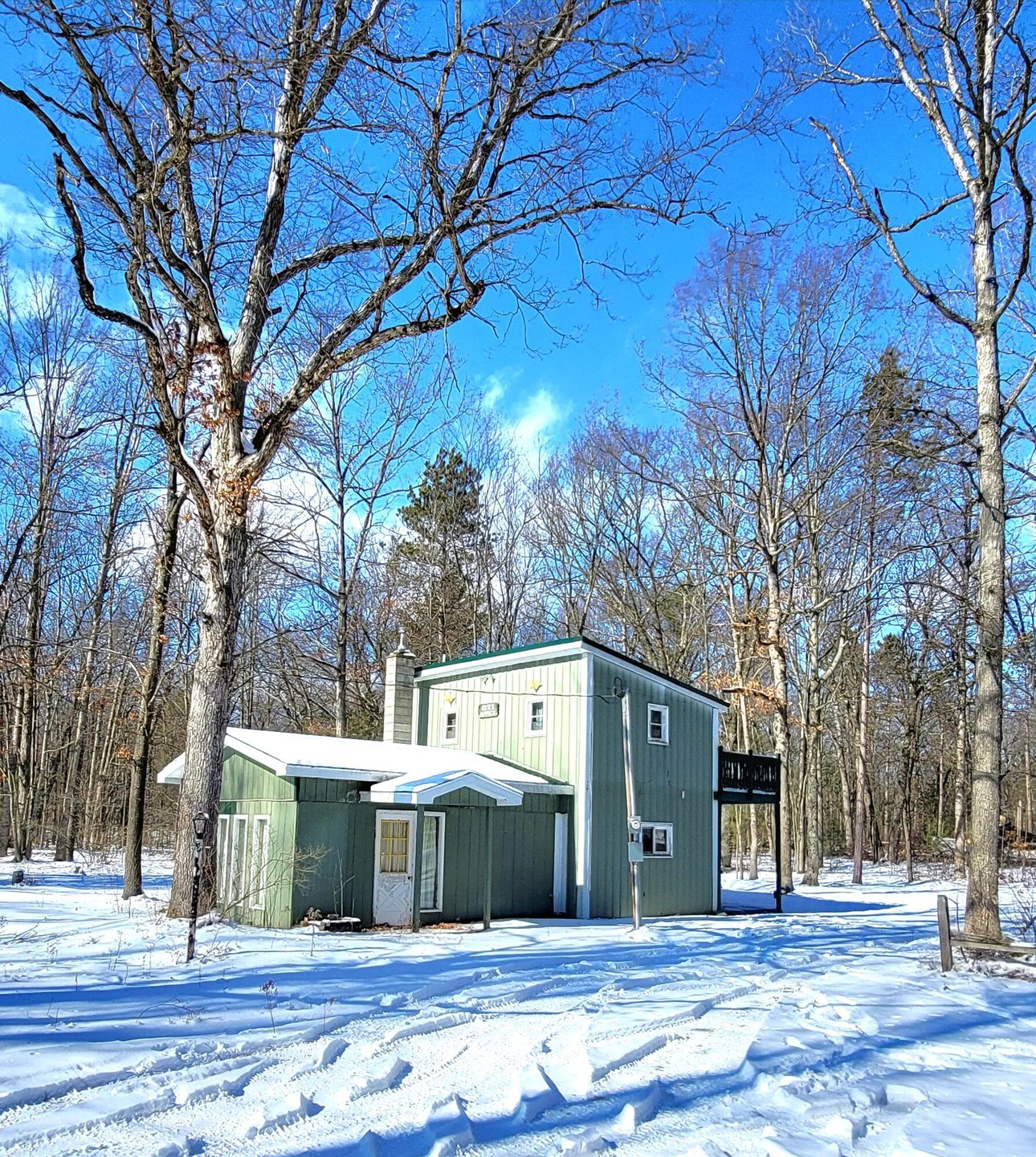 2333 Cass Ln, Bitely, MI 49309 - photo 1