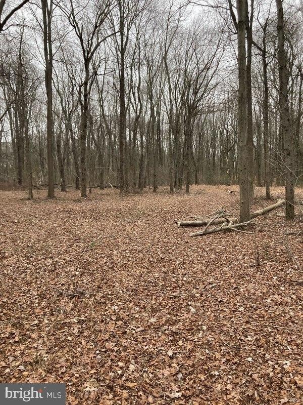 108 Kelly Driver Rd, Clementon, NJ 08021 - photo 1