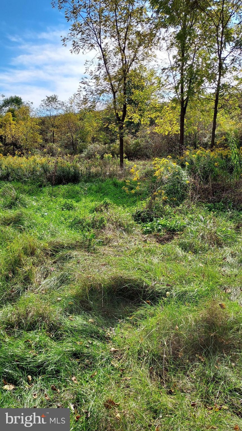 0 Lingenfelter Rd Hillview Dr unit PABD2000734, Bedford, PA 15522 - photo 1