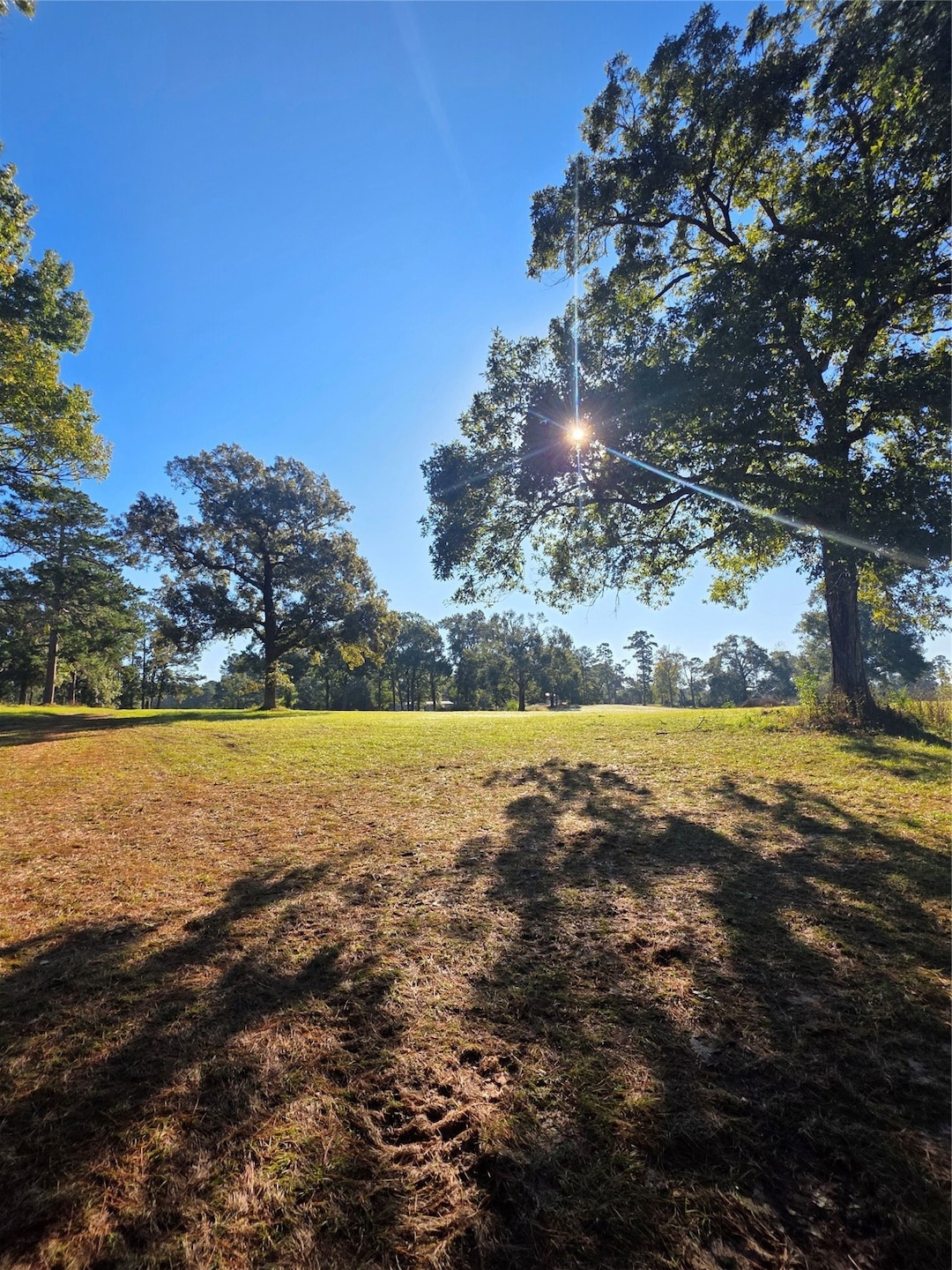 860 Easy Street Rd, Livingston, TX 77351 - photo 1