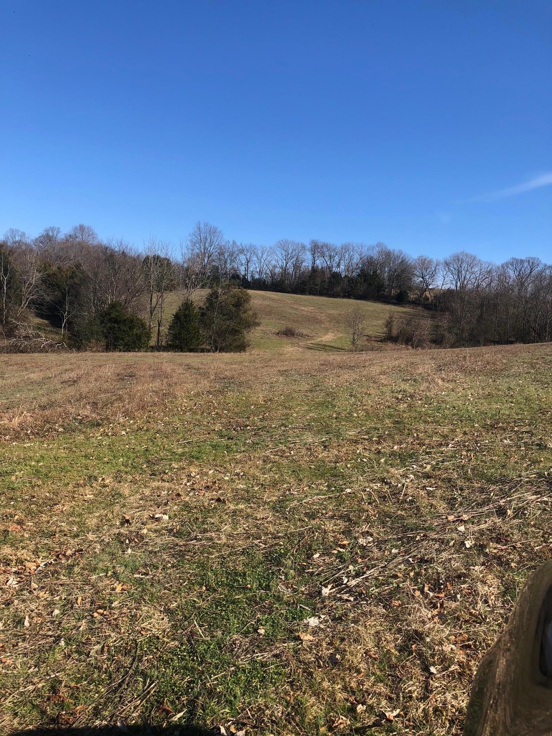 0 Cy Thomas Rd unit 2001897, Shelbyville, TN 37160 - photo 1