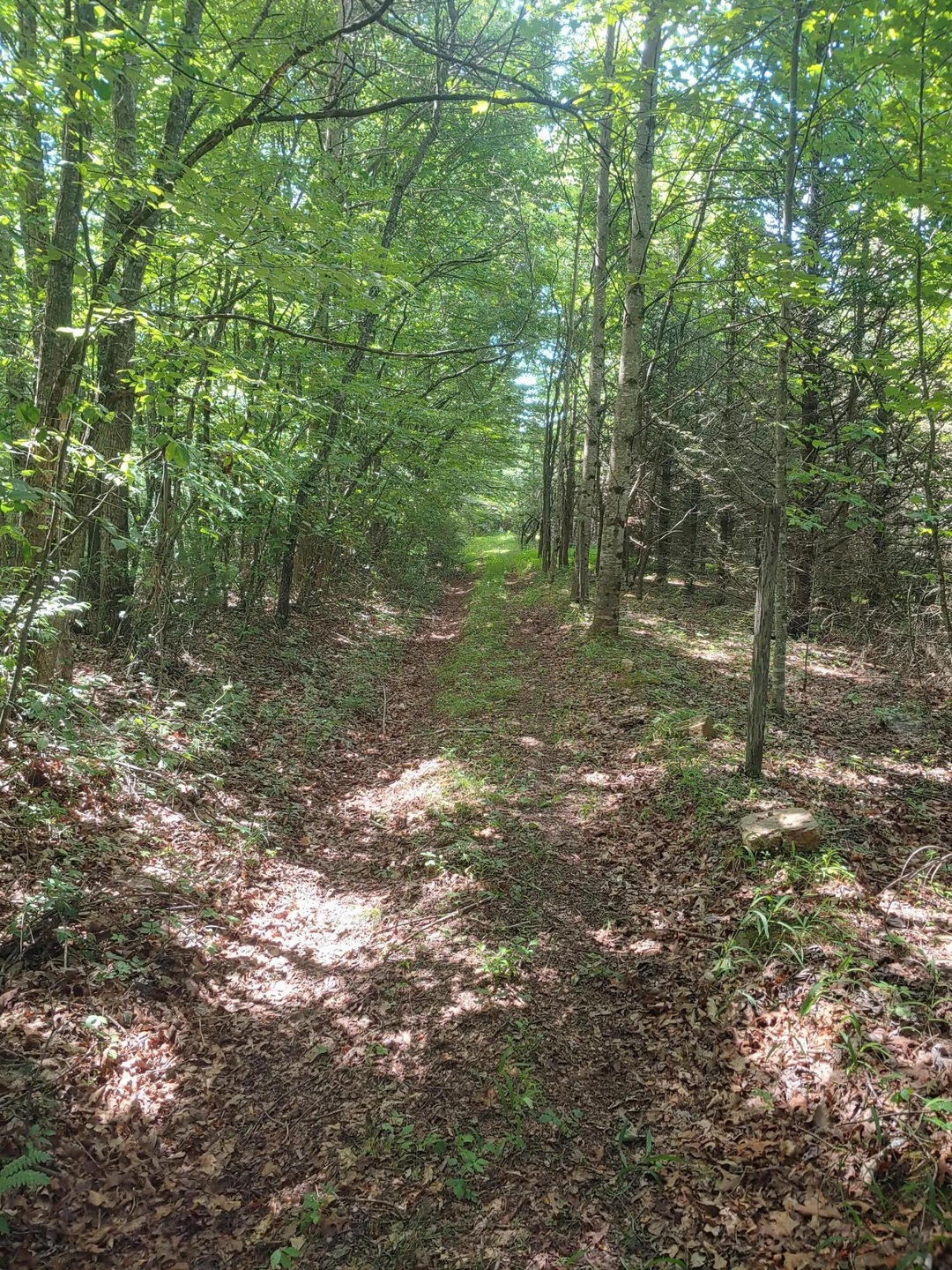 0615241538_HDR