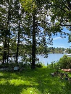 303 N Cedar Creek Rd, Cordele, GA 31015 - photo 1