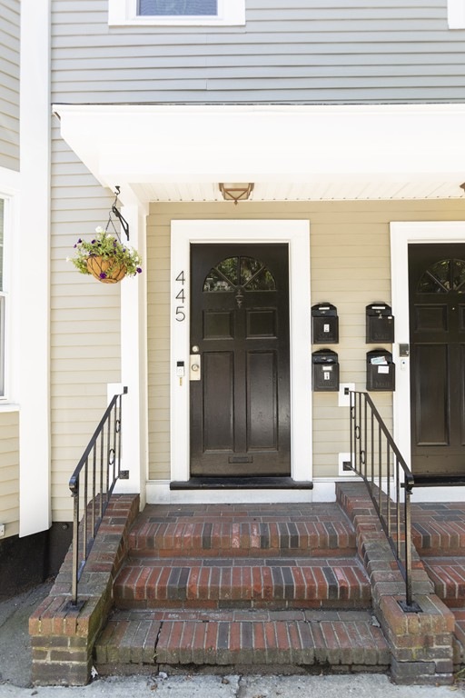 445 W 4th St unit 2, Boston, MA 02127 - photo 1