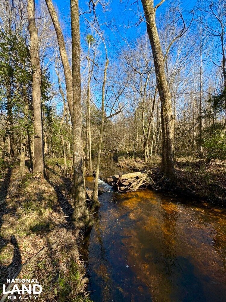 0 S Fred Cir, Kenly, NC 27542 - photo 1
