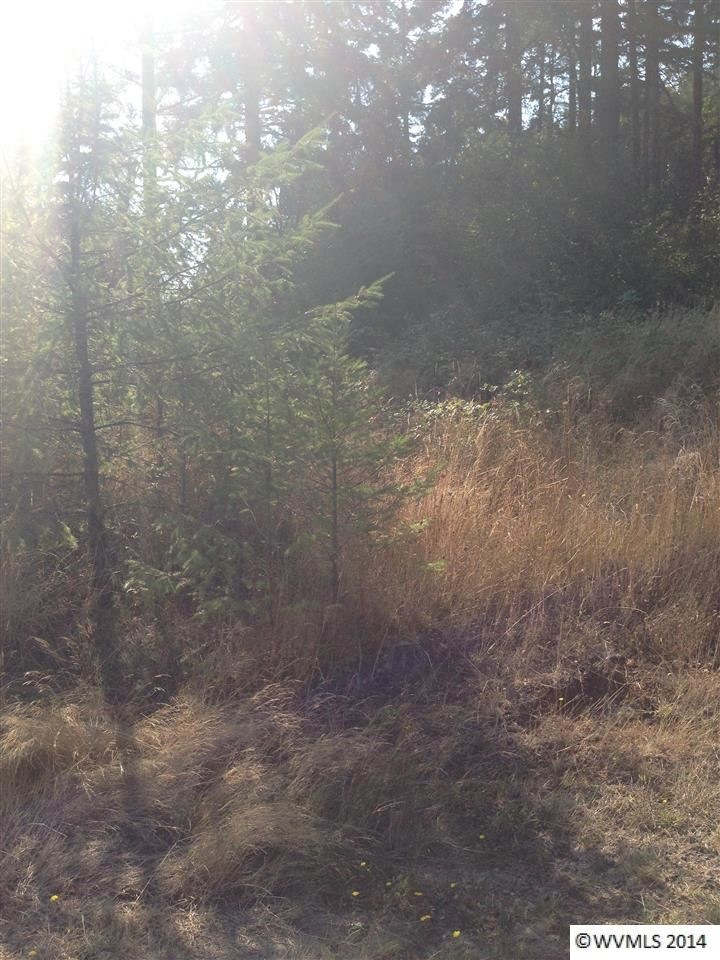 0 Mirror Pond Estates Lot 2 unit 682783, Amity, OR 97101 - photo 1