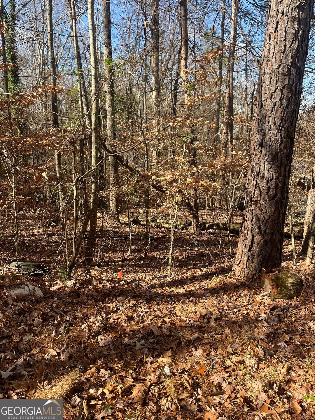 0 Continental Trail unit 10653738, Gainesville, GA 30506 - photo 1