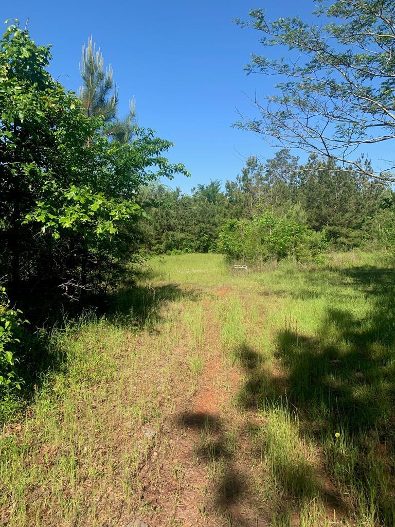 7643 Us Highway 59 N, Lufkin, TX 75901 - photo 1