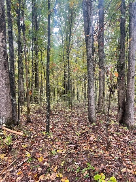 0 Cowhorne Hollow Rd unit RTC2300968, Prospect, TN 38477 - photo 1