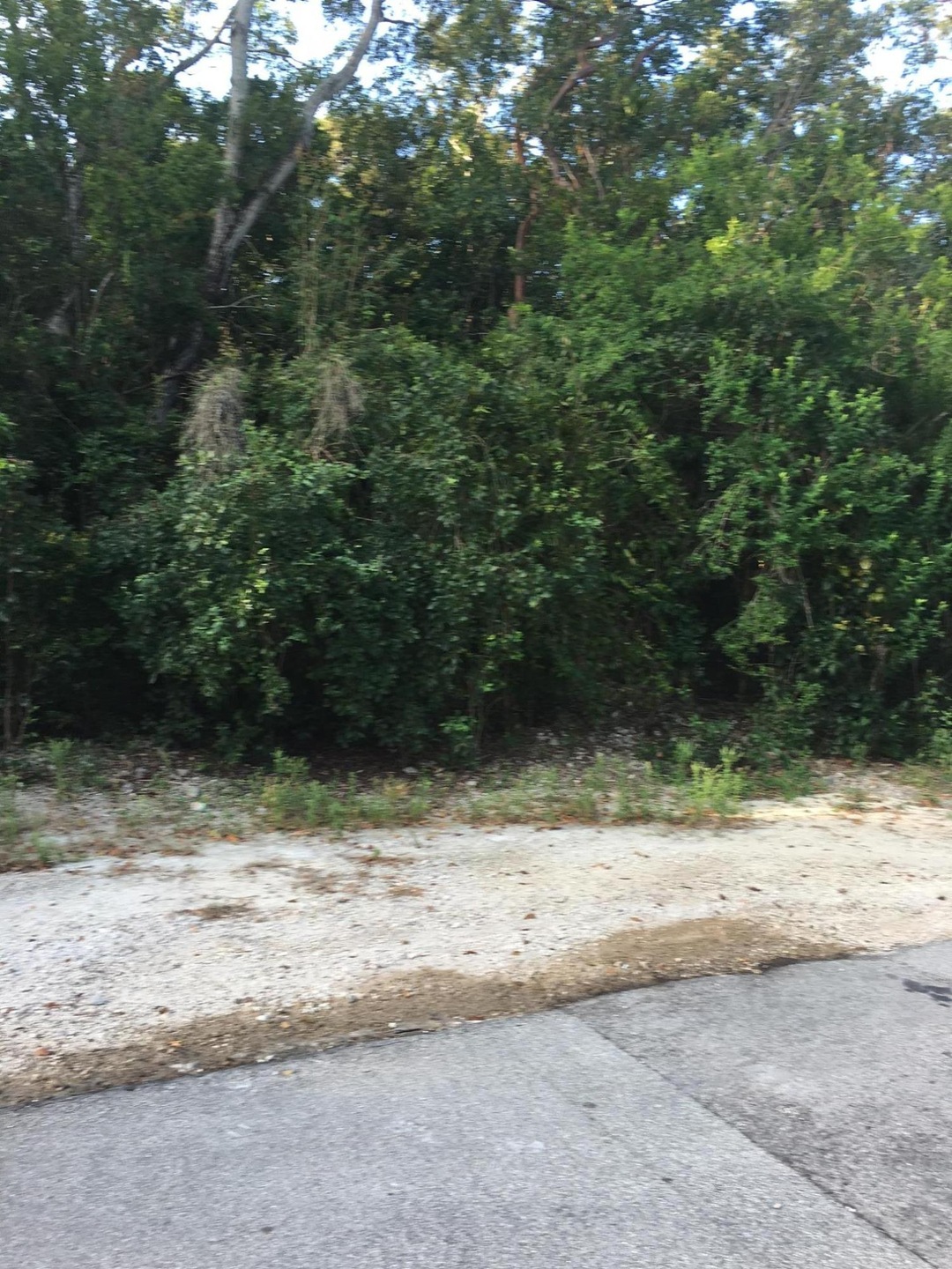 Vacant Land_Lime Drive