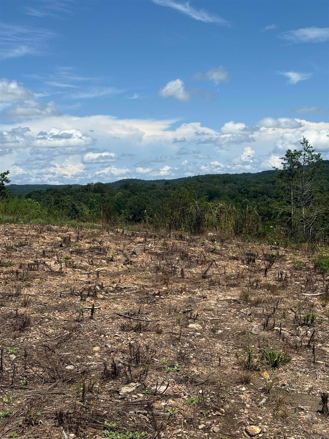 12952 Highway 5, Norfork, AR 72658 - photo 1